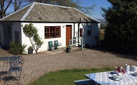 The Wee House